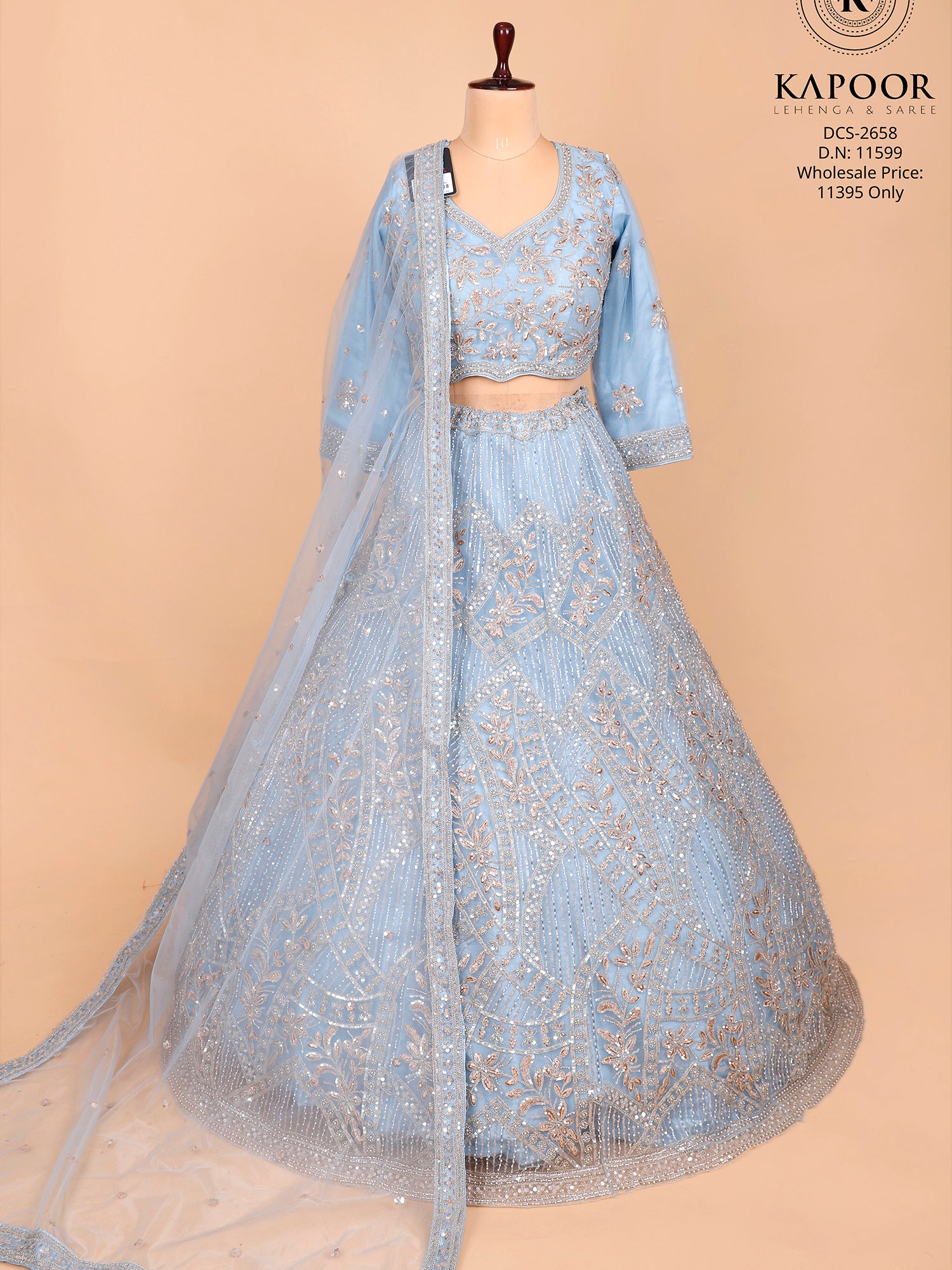 Sky Blue Net Lehenga Wit Handwork