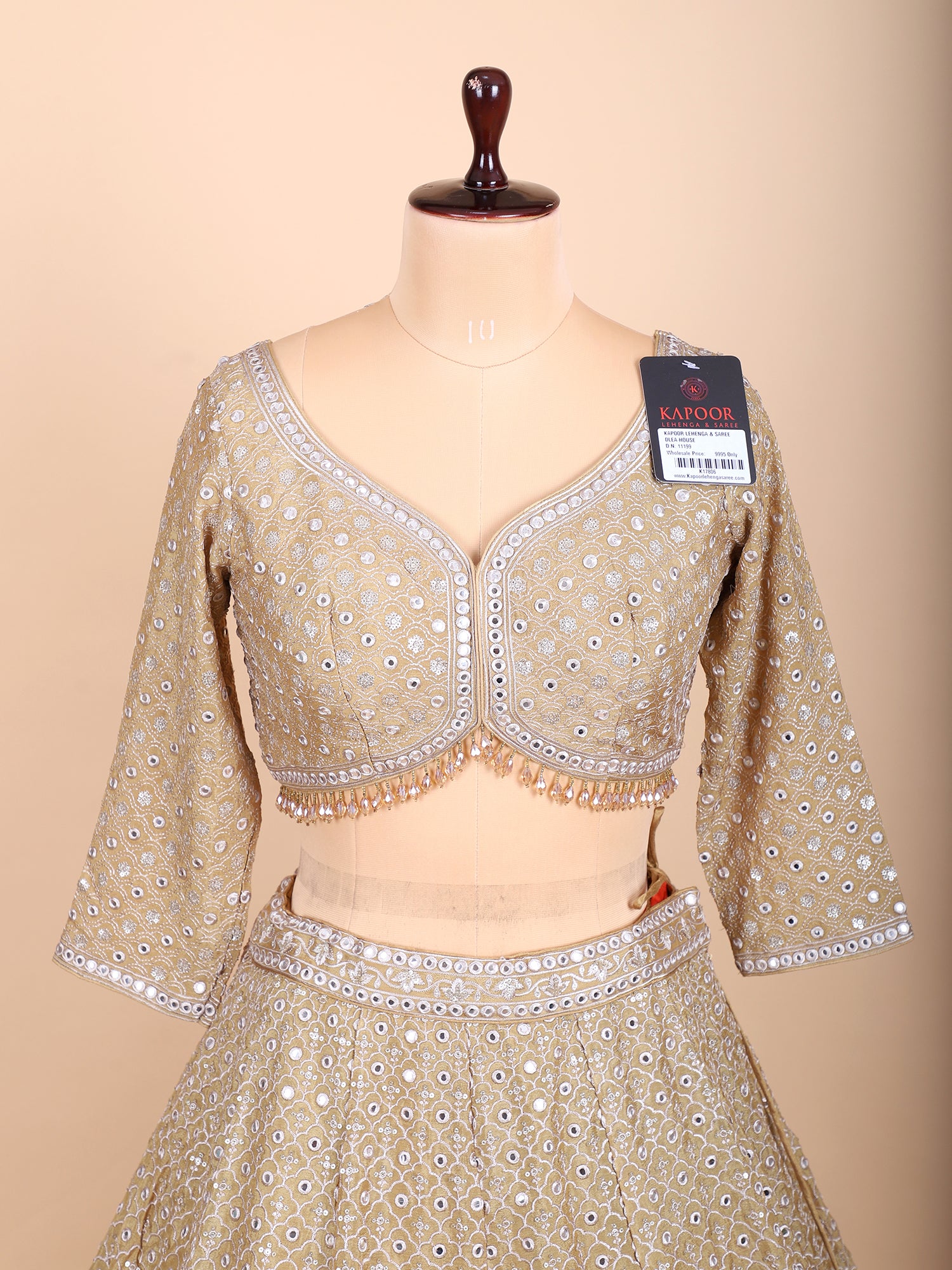 Sandy Whisper Light Chickoo Threadwork Lehenga