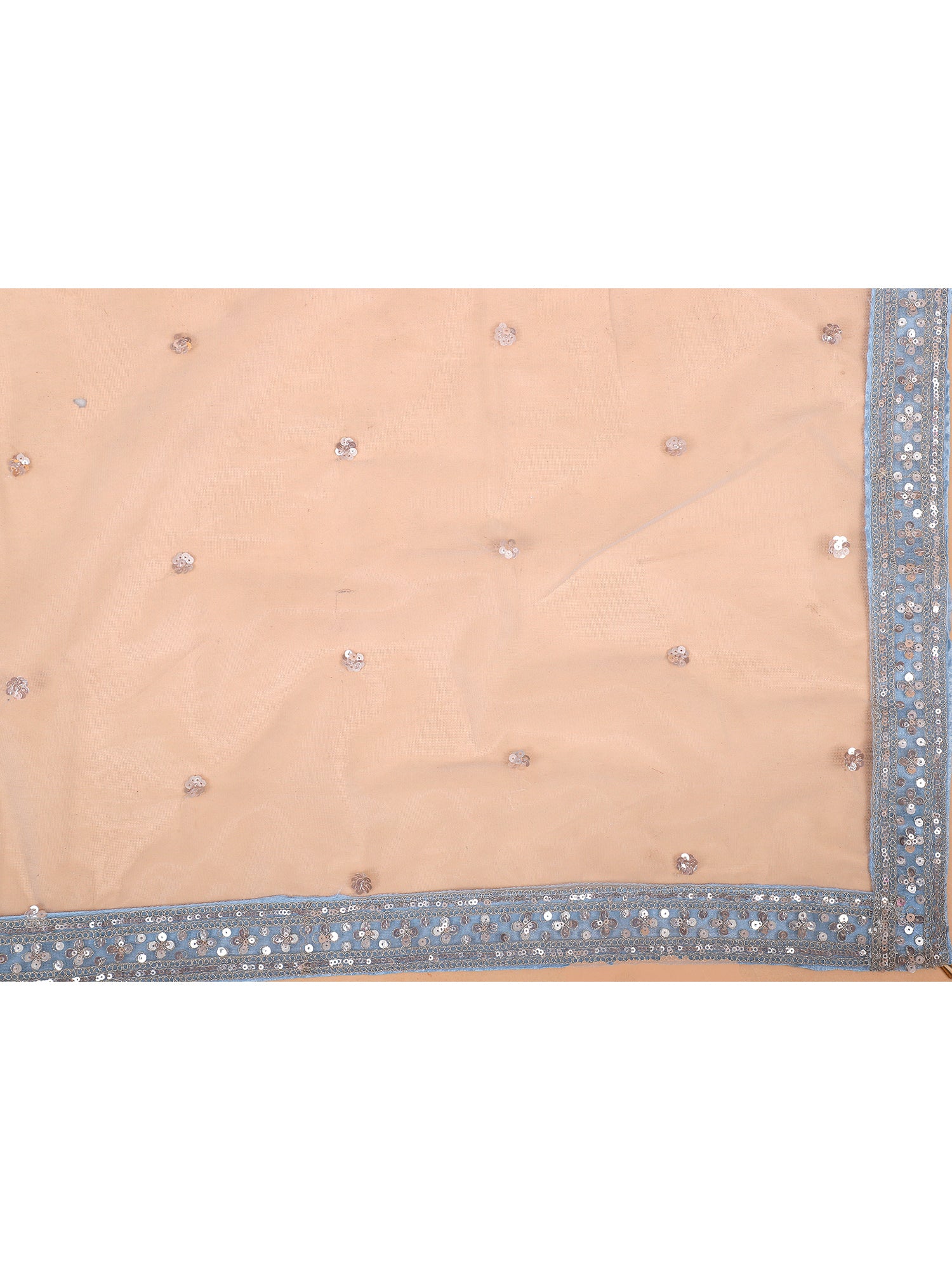 Sky Blue Net Lehenga Wit Handwork
