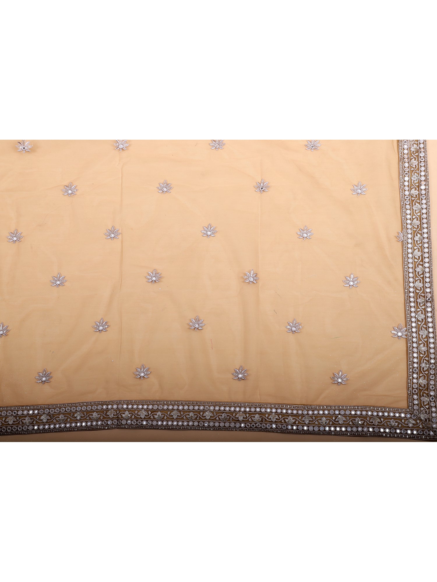 Sandy Whisper Light Chickoo Threadwork Lehenga