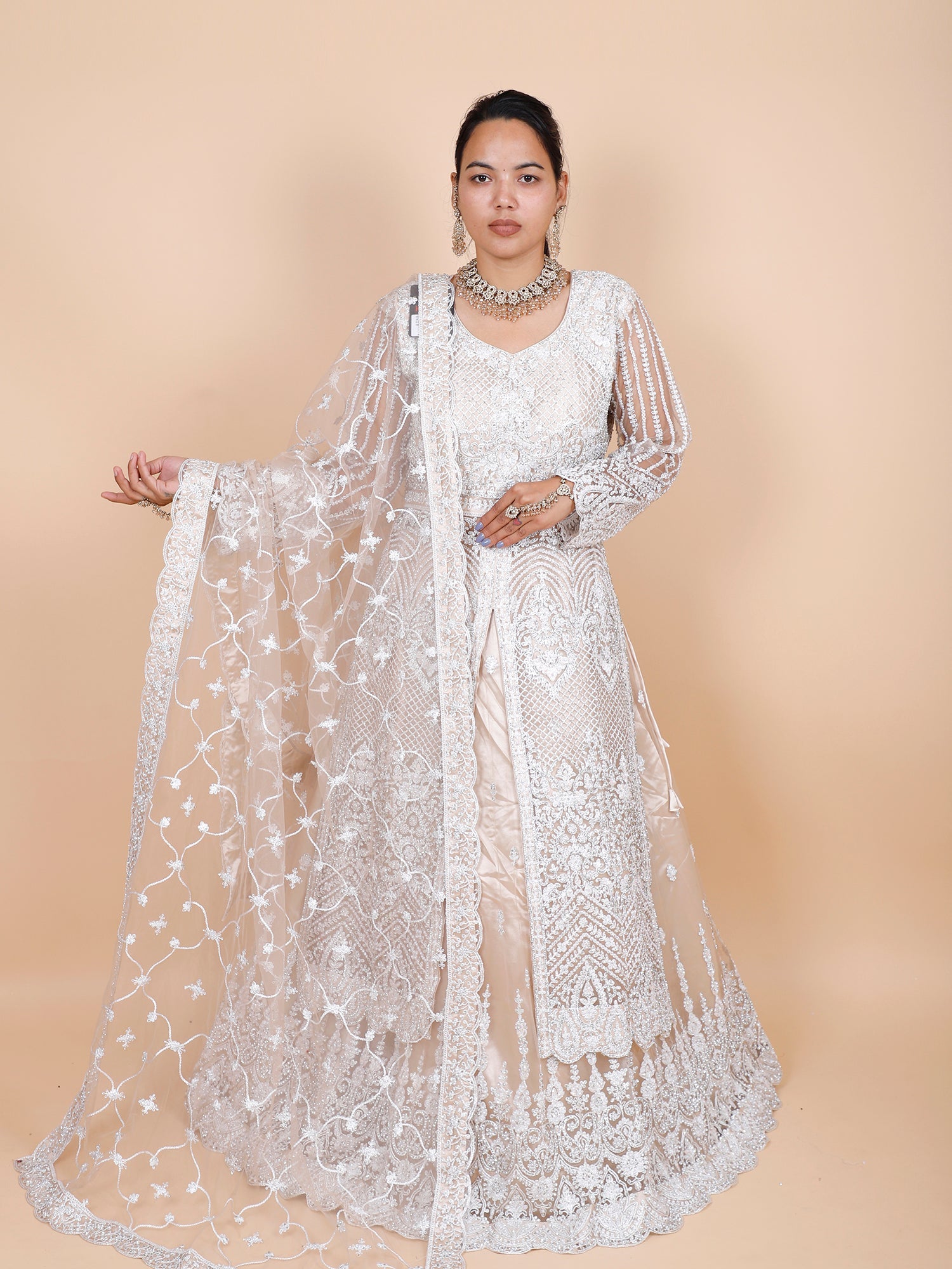 Off-White Net Gown with Heavy Thread