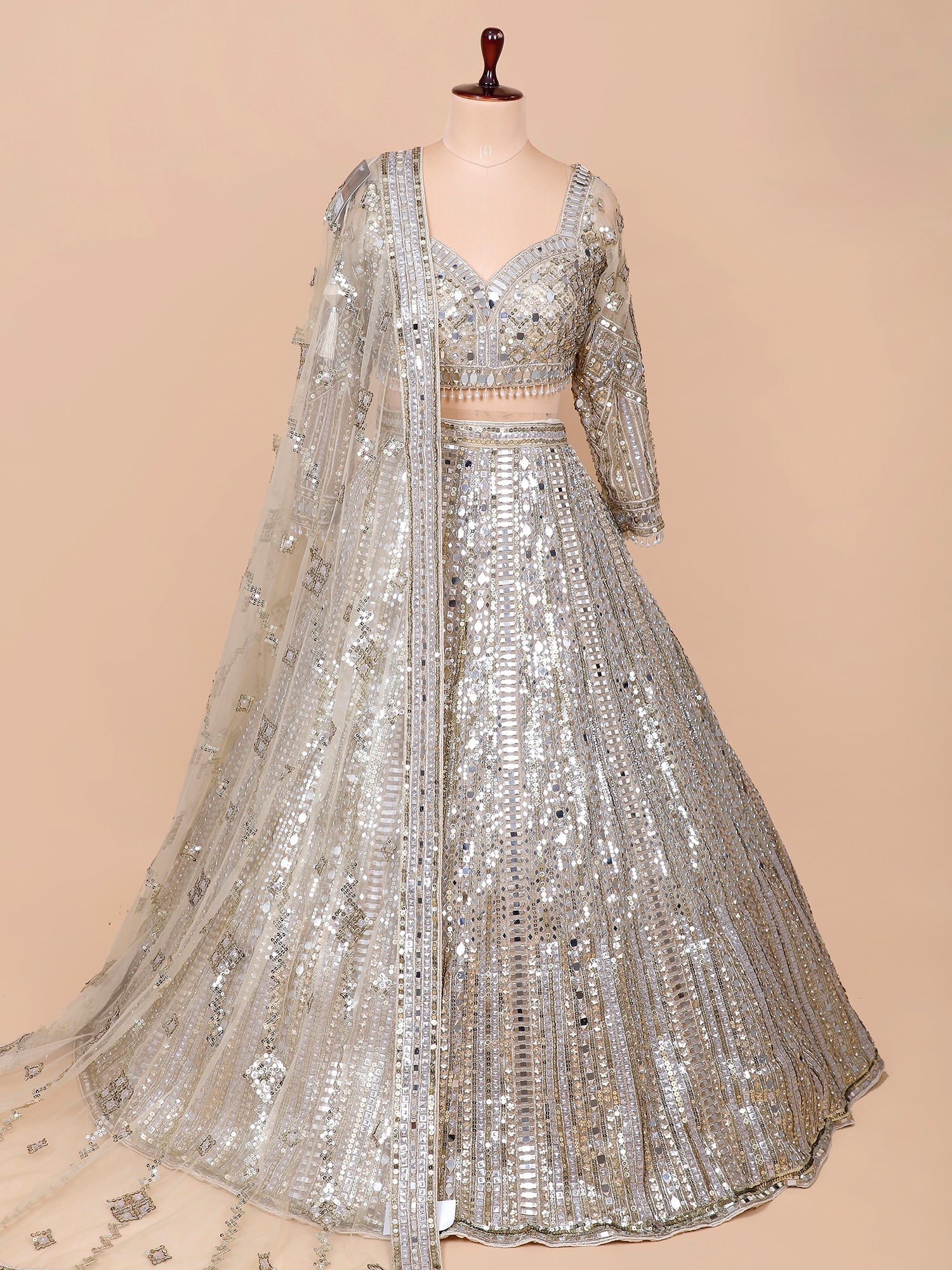 Grey Net Lehenga with Thread, Mirror