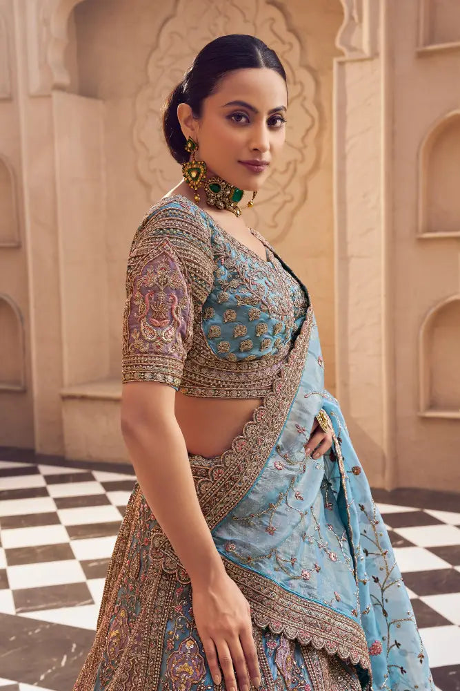 Chinon Saree Pink Sky Heavy Thread Work With Sequins Saree