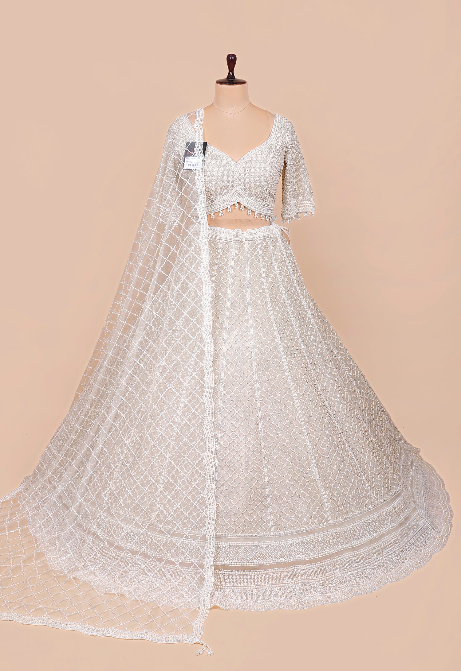 Elegant Beige Net Lehenga