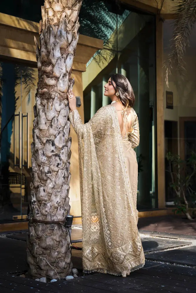 White Saree Handwork With Sequence And Jarkan Ready Made Blouse