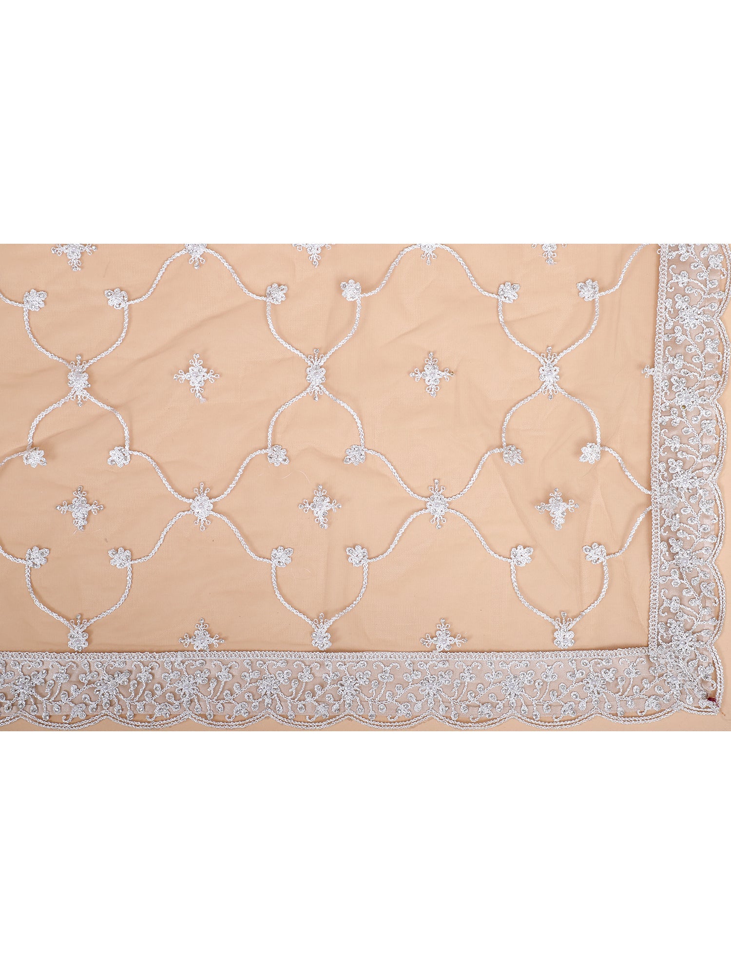 Off-White Net Gown with Heavy Thread