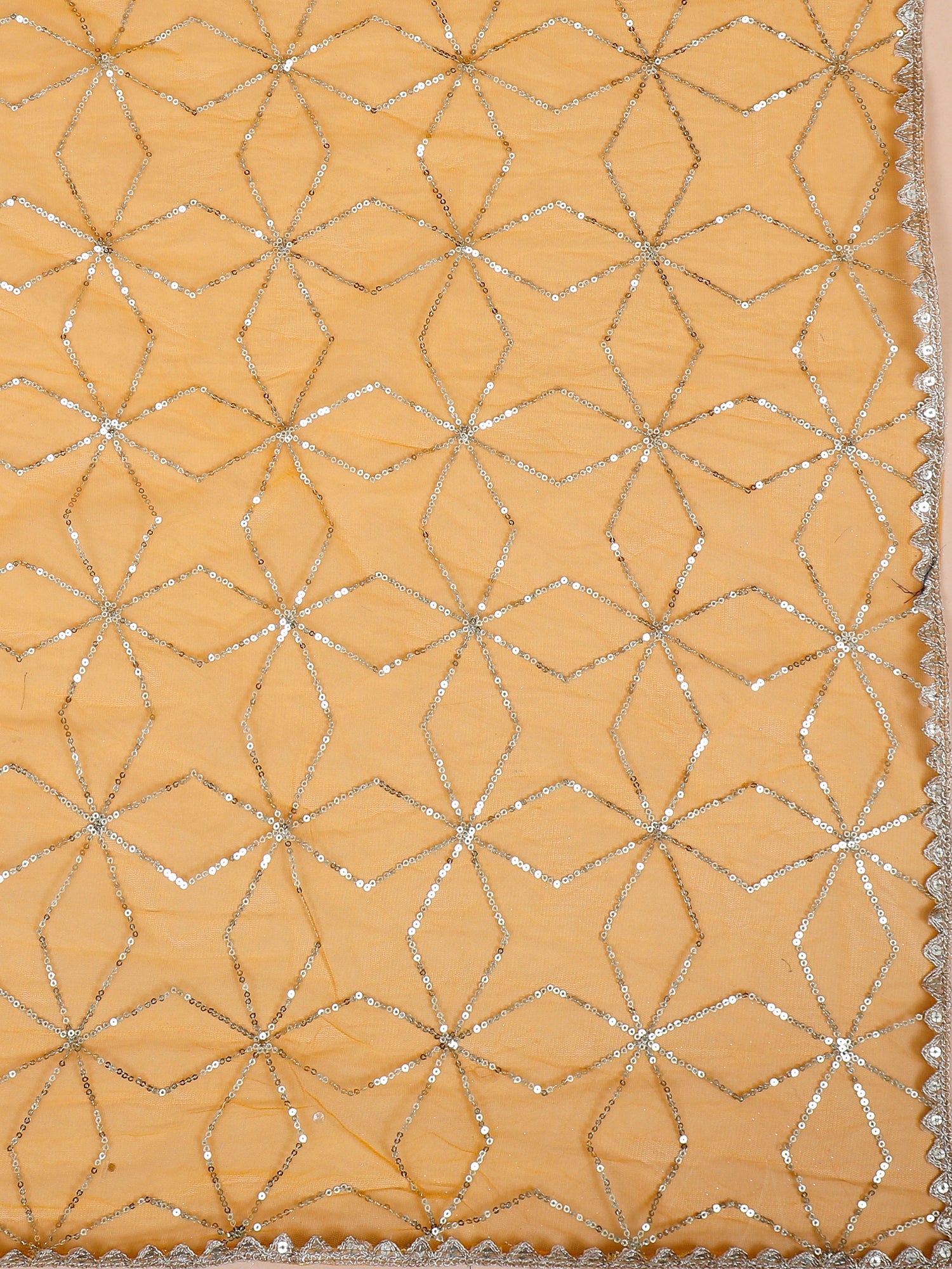 Aurora Silk Fantasy Lehenga with sequence embriodery