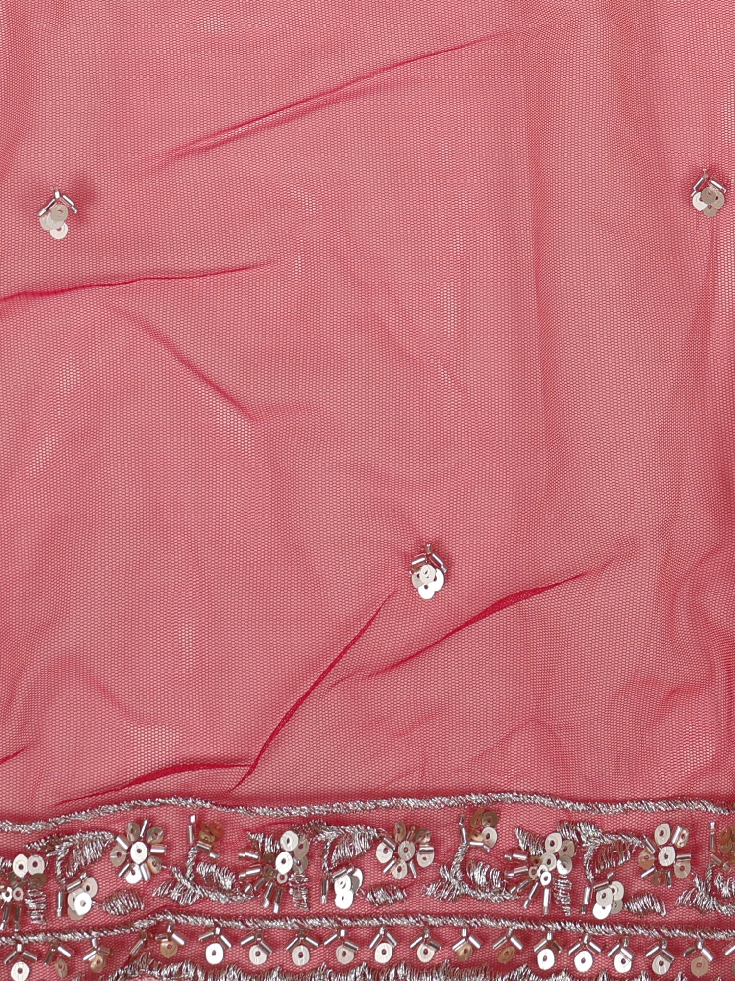 Rani Rajkumari Silk Lehenga With Heritage Jarkan Brilliance
