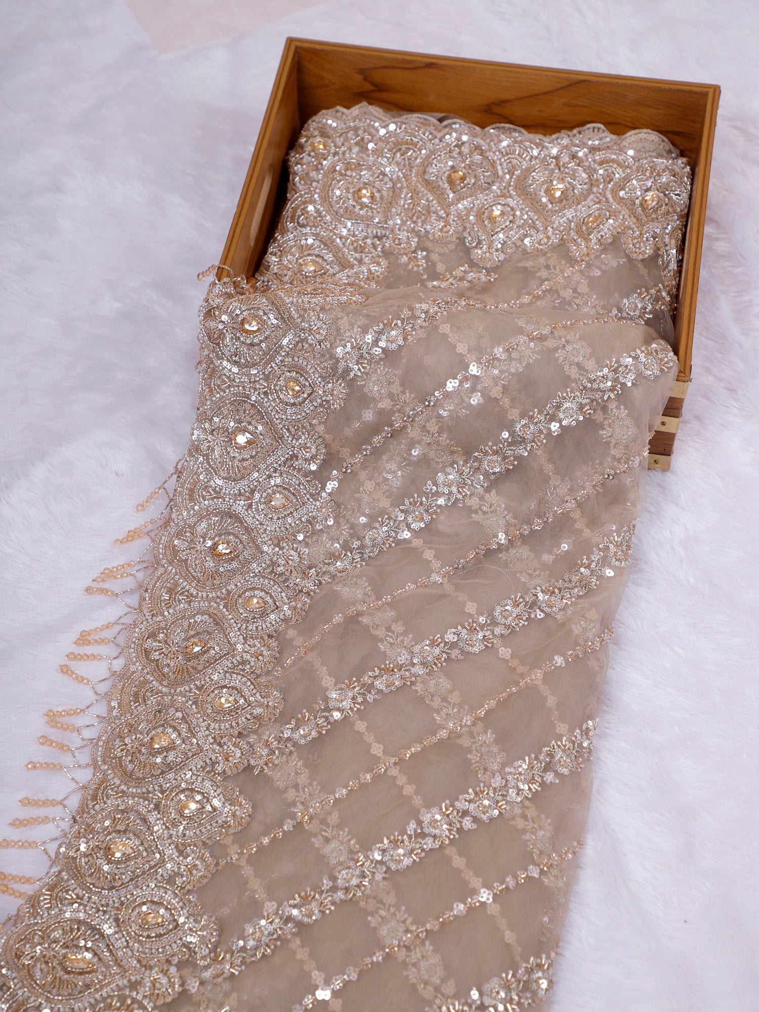 Champagne Eternal Sparkle Net Embellished Saree