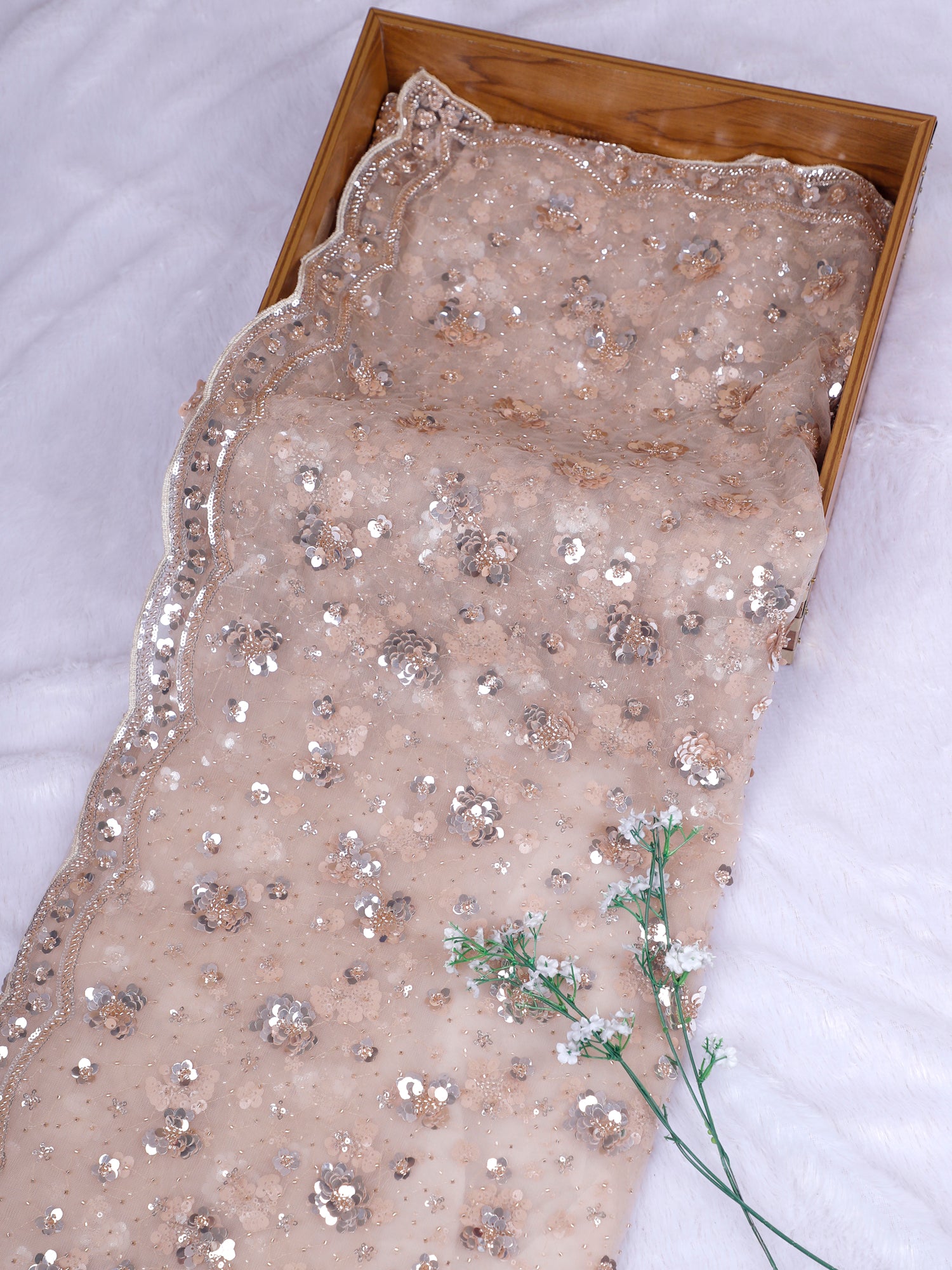 Biscuit Champagne Glow Designer Saree