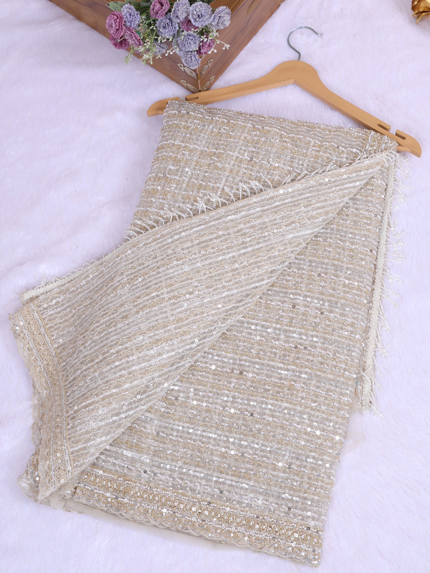 Soft Champagne Net Saree with Detailed Sequin Hand Embellishment