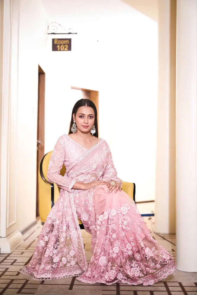Chickoo Colored Net Saree With Sequence Jarkan And Thread Handwork