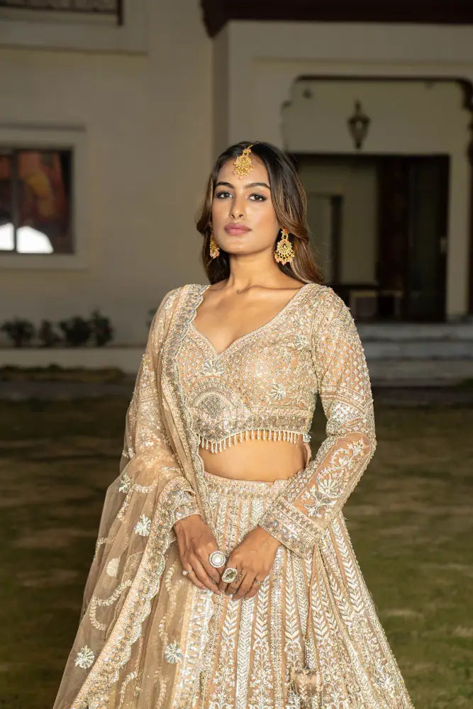 Chickoo Net Lehenga With Dupatta And Exclusive Stone Work Lehenga