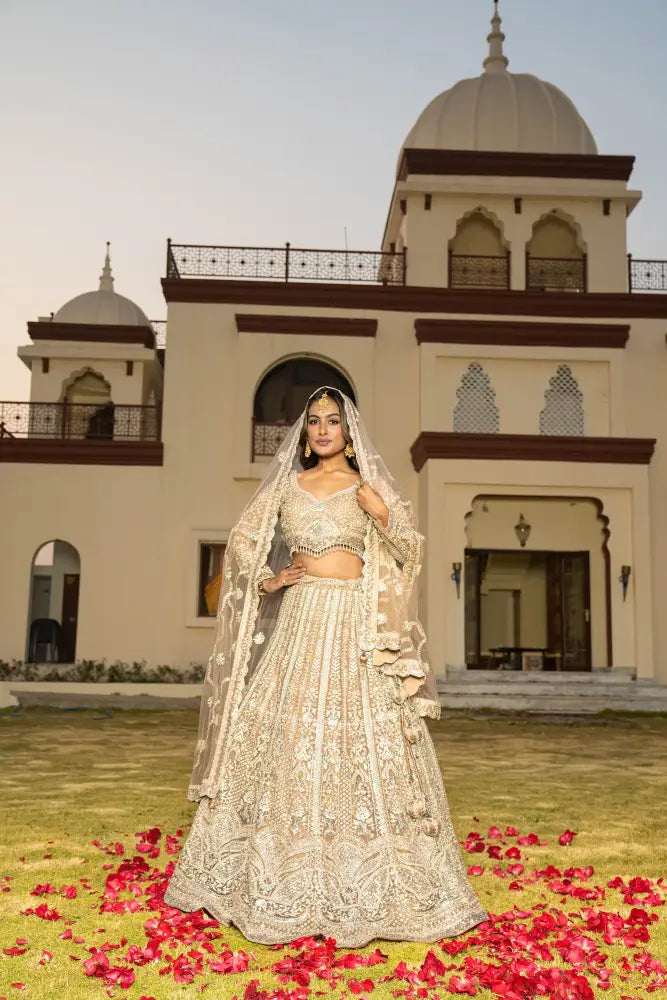 Chickoo Net Lehenga With Dupatta And Exclusive Stone Work Lehenga