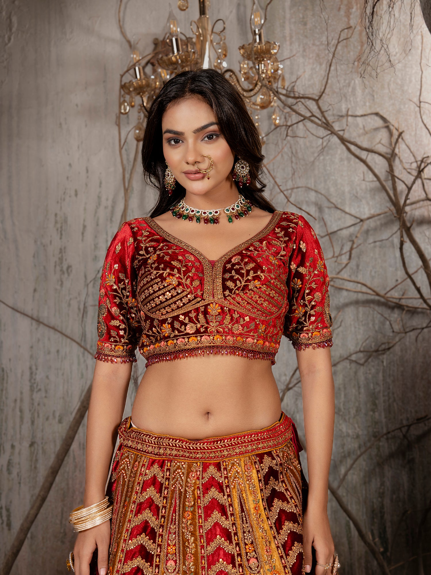 Royal Velvet Lehenga With Jarkan Multi Work Embellishment