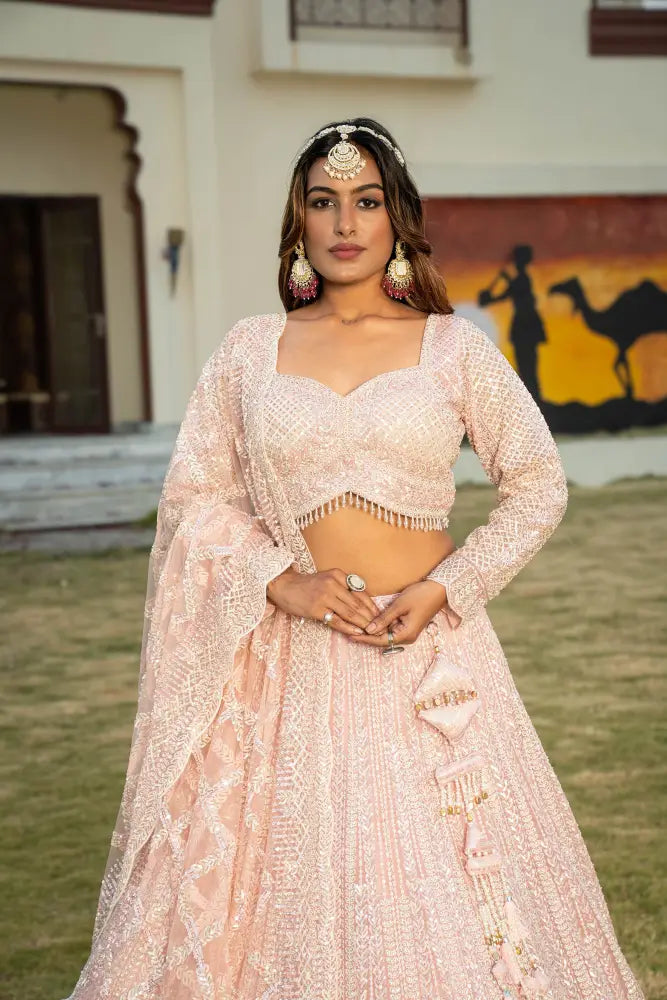 Princess Look With This Pink Net Lehenga With Dupatta Lehenga